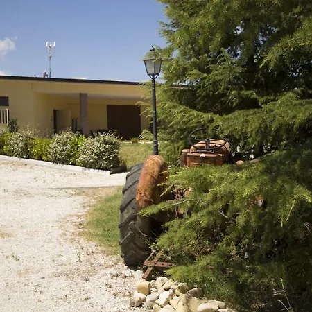 Il Vecchio Gelso - Agriturismo Rimini Montefiore Conca-2